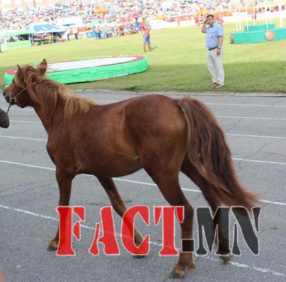 fc21332795cc6ceboriginal