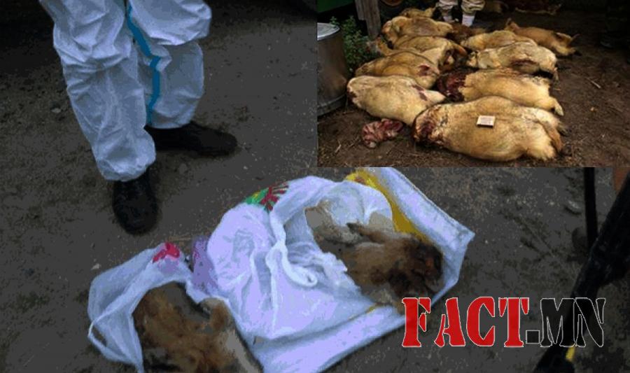 p19qur8agg1nqif3gg6o1nhs1uav2