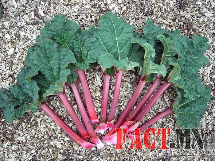 7792cf70c4a8f95297b13a8b3ad5a970