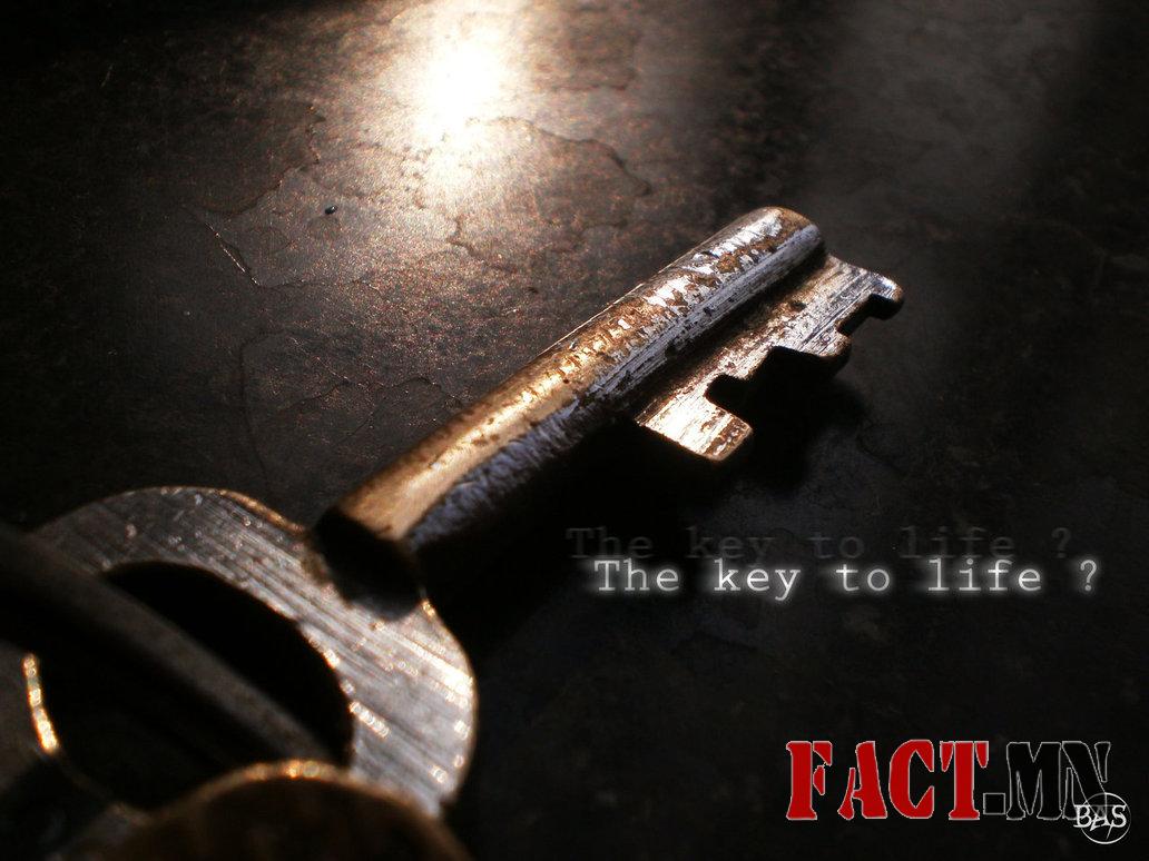 the_key_to_life___by_accursed_sayan-d37dhlw