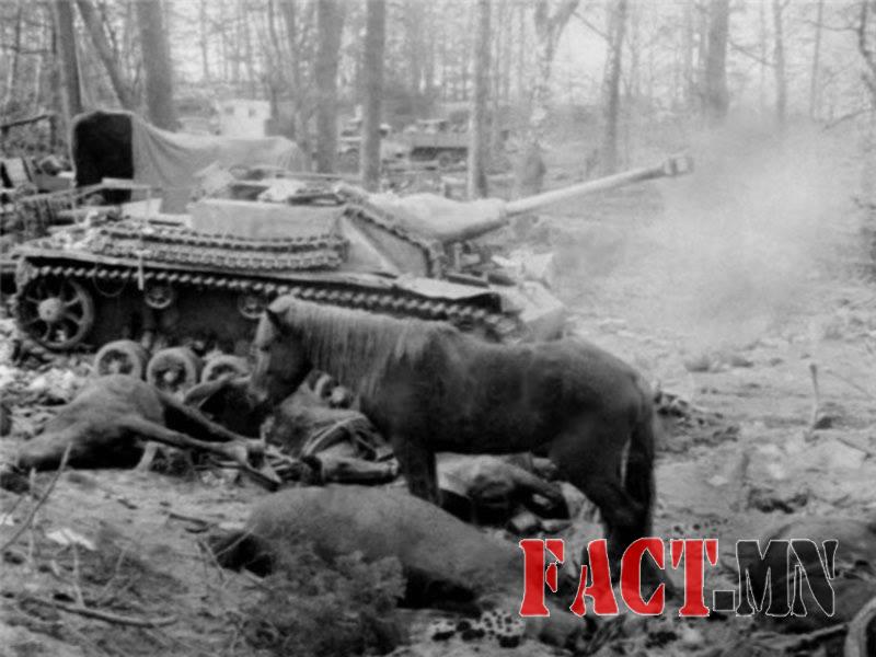 12107221_823059927810588_7519863940565149430_n