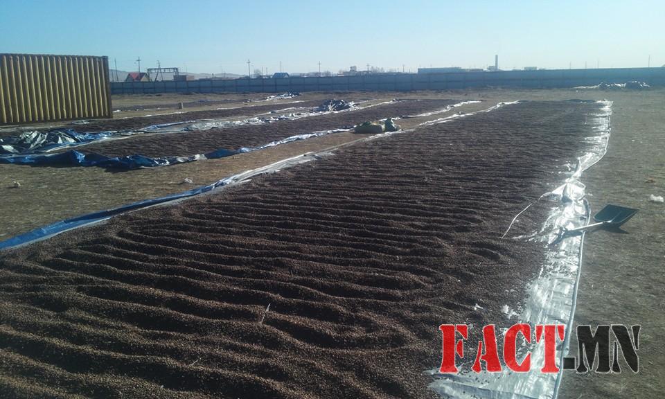 12119035_1629502890657001_449998009116098184_n