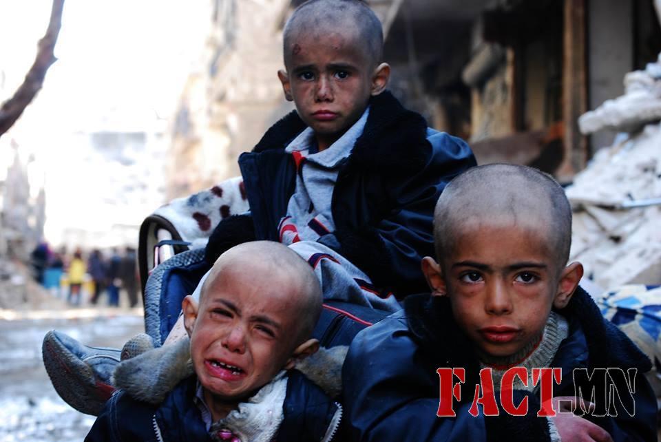 12227653_10205345621103257_6869495144340548683_n