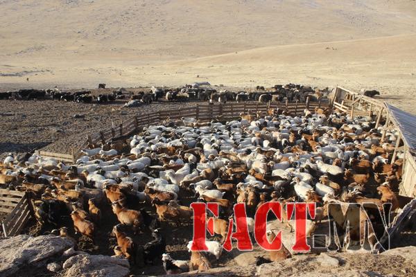 105b98ff2dbfb559original