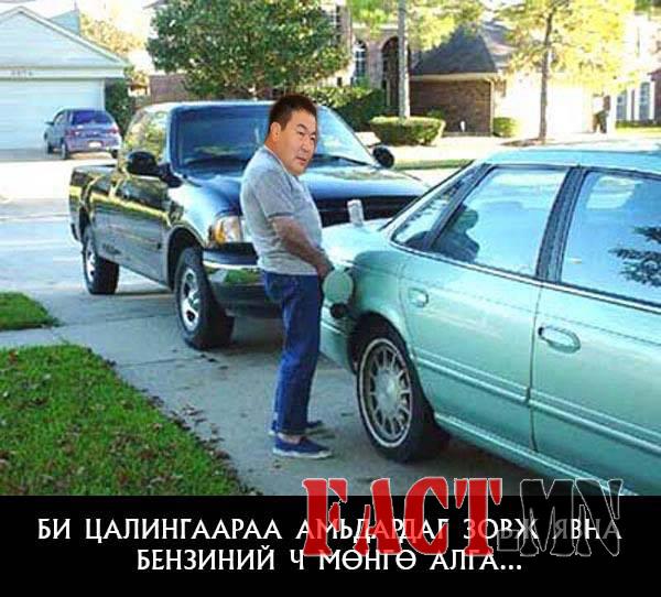 12122397_906372782785811_2745308351480064011_n