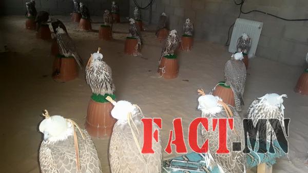 1449103295565f8fbfd2fe8