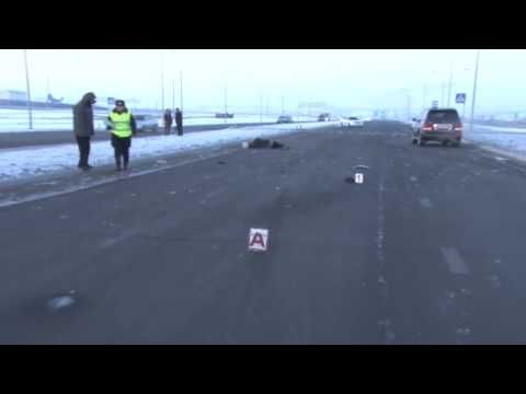 5660570cc19a07.85091377