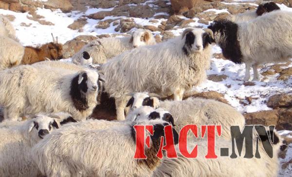 6mcm10ihk4pirqsv1eooitjrkv