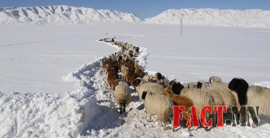 olloo_mn_1437443680_bichin-jil