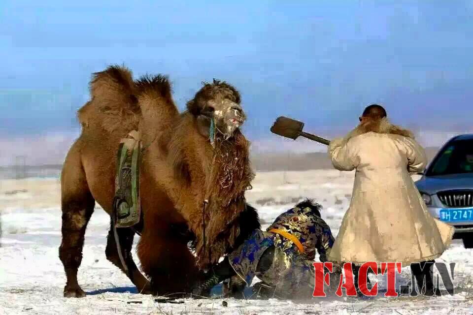 12645164_989430921104751_8345042597308548550_n