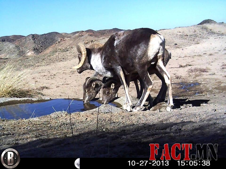 1450238_473056712815103_991082174_n