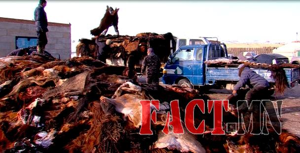 1452040238568c602e28d1e