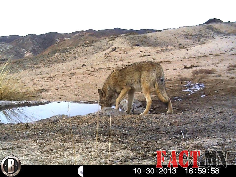 1456756_473056736148434_1628043796_n