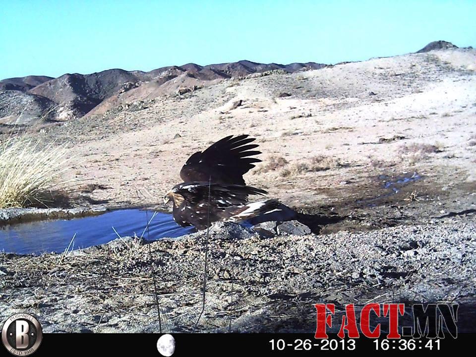 1463679_473056752815099_1702157923_n