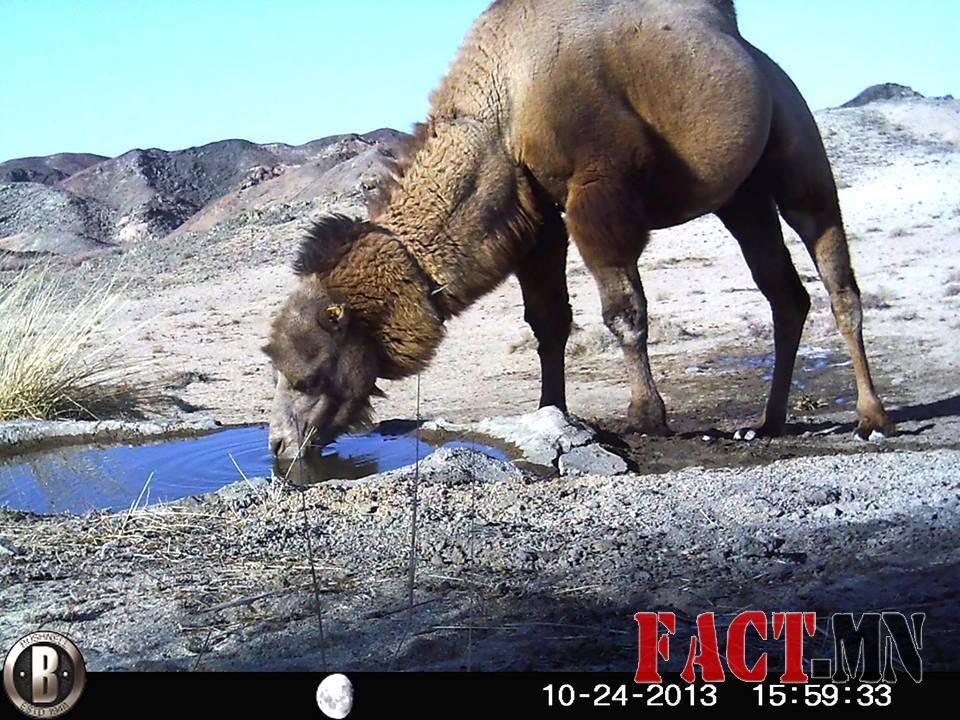 1468769_473056716148436_1319183364_n