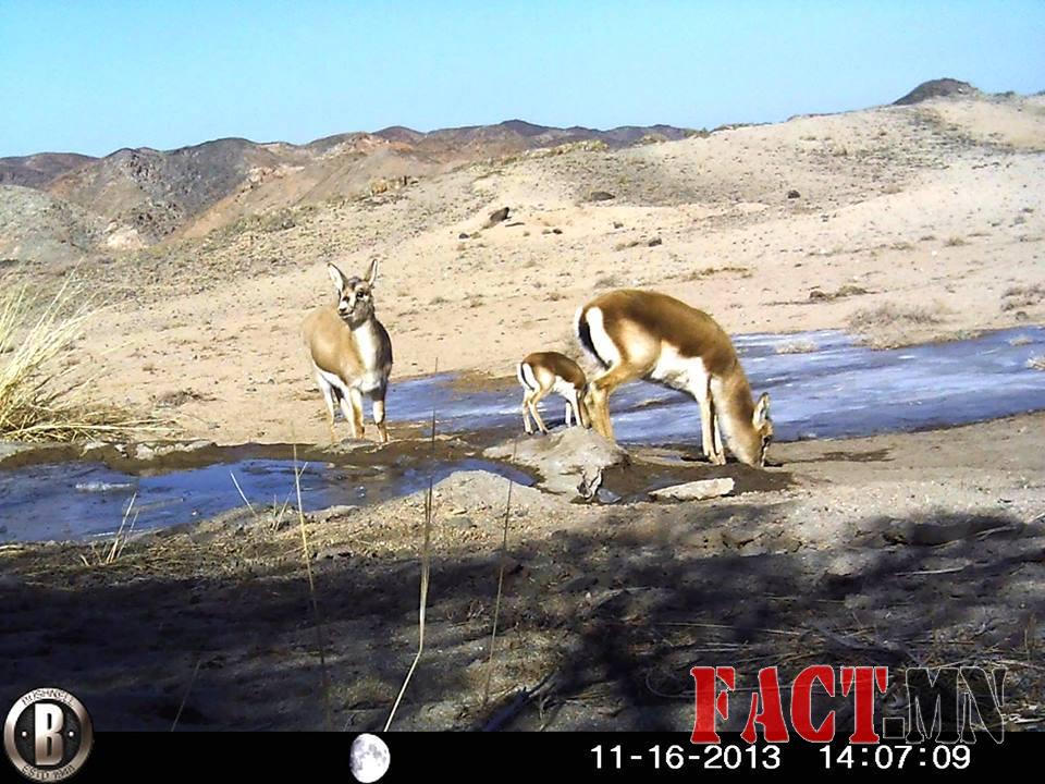 1474600_473056686148439_778160845_n