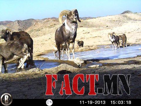 1476610_473056749481766_1552255160_n