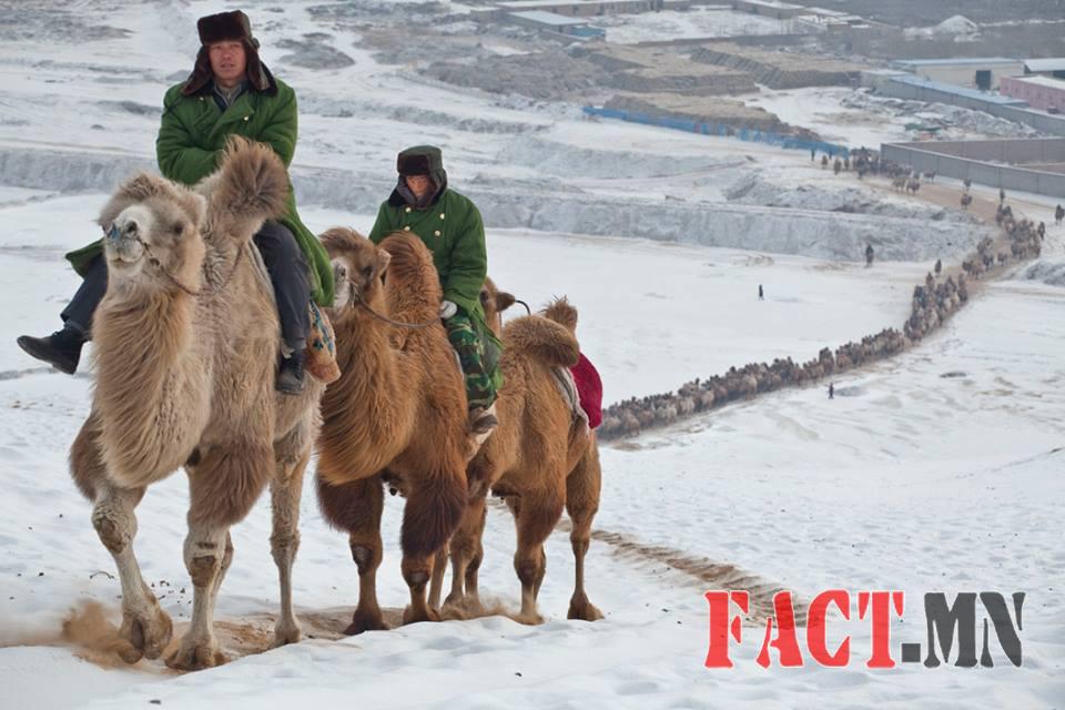 12802991_1687569714855665_4786598833465925367_n