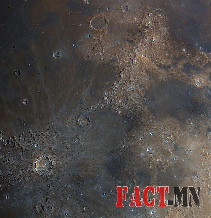 12321176_1122659291098563_5670423136414605221_n