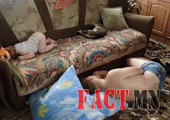 12919843_587223684786572_8074688169613710979_n