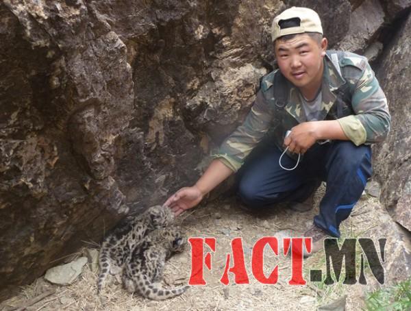 Sumbee-with-2-cubs-600x454