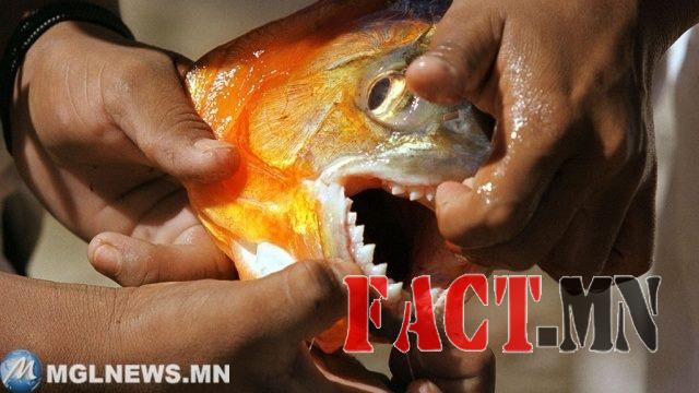 13177513_605650639603150_2433968317257895361_n