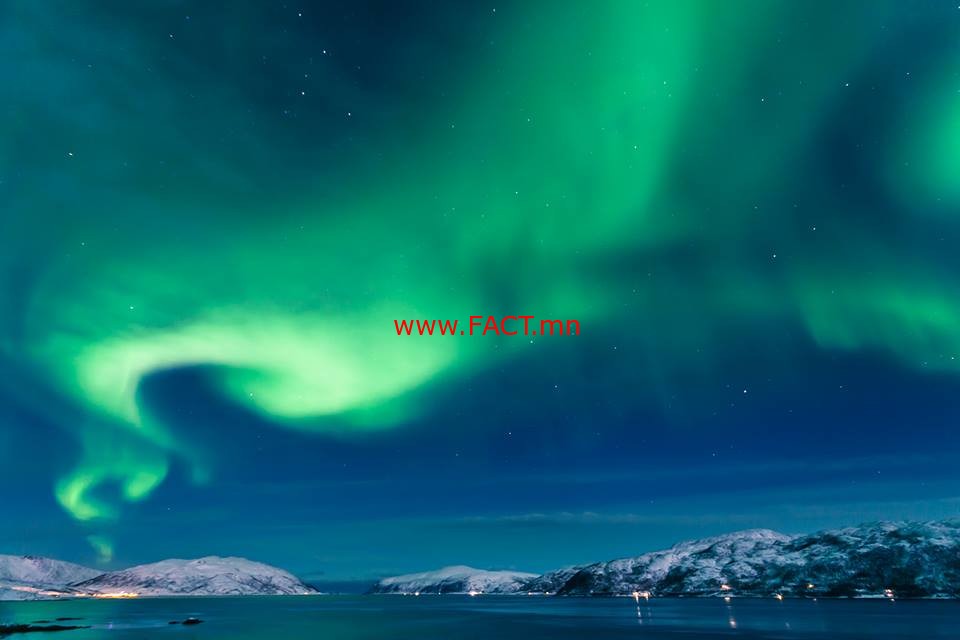 13293341_886766554761369_1881274559_n