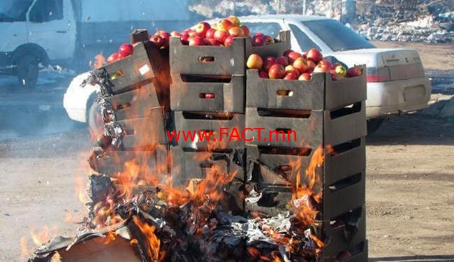 c328e6d033a0e1c0great