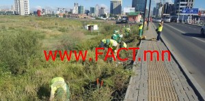 olloo_mn_1470637928_sharilj