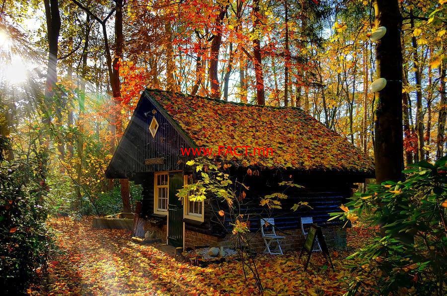 14281343_613521962162617_993862433_n