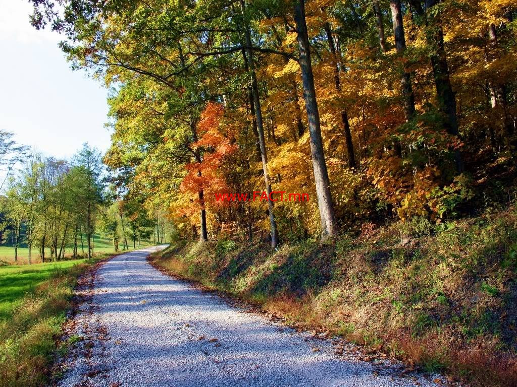 14285628_613521968829283_931147400_o