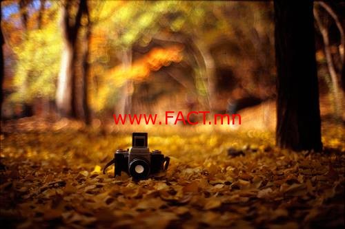 14349185_613522042162609_717371485_n