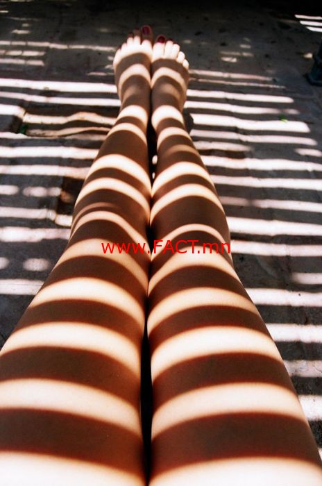 creative_hard_shadow_17