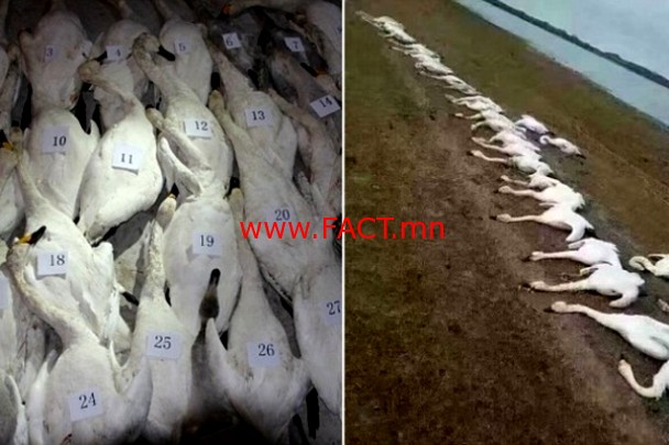 14775606885811c970b5710