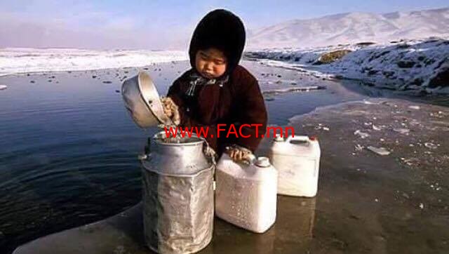 15057924_916963098404563_1055327346_n