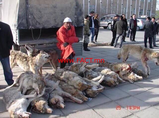 15086859_916963051737901_799587657_n