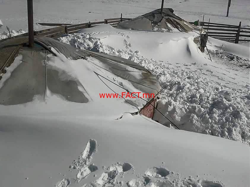 1482207817_1479359864582d3d7837357