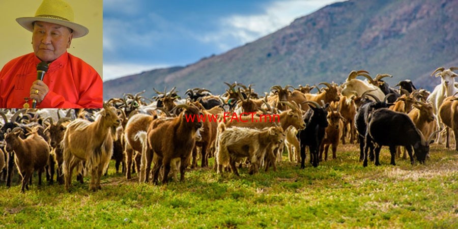 olloo_mn_1481160641_mal