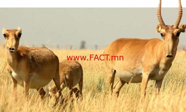 1484093906587579d2adec9