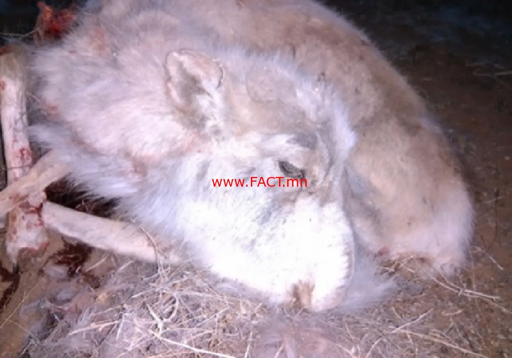 buhun_myalzan-095625-1356057327