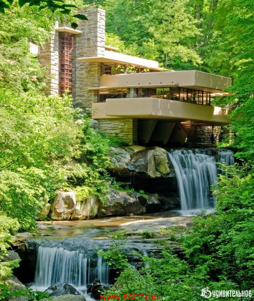 17308854_391909421188804_3425985626894946328_n