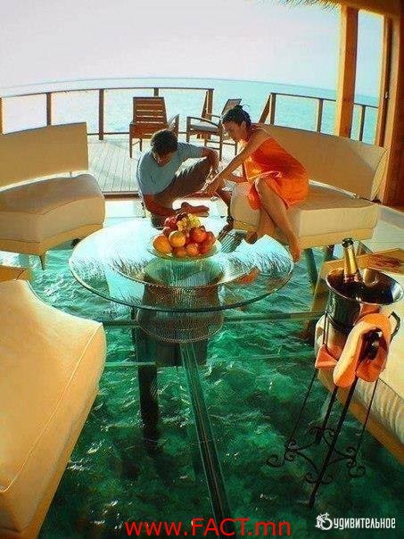 17362778_391905907855822_6214705152262244975_n