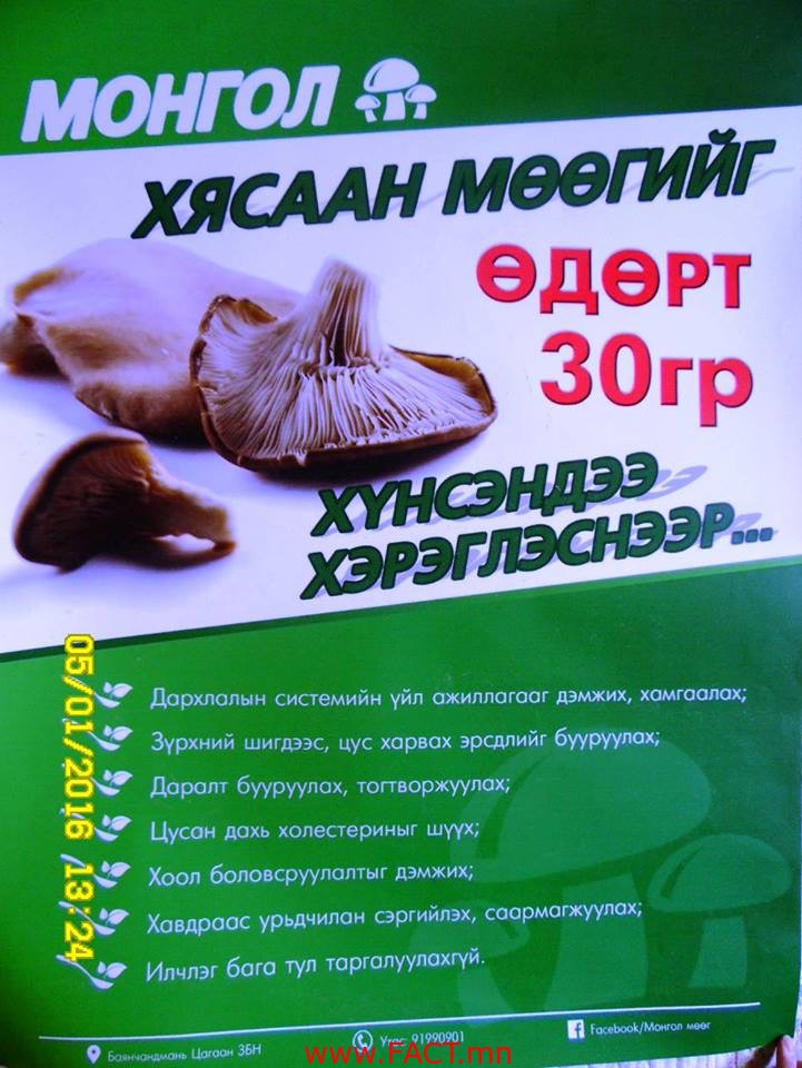 18620158_1353068744786509_5301379378862197332_n