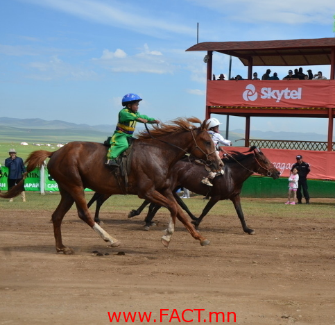 70a033b9cd738d4284cf30c27f405f8a