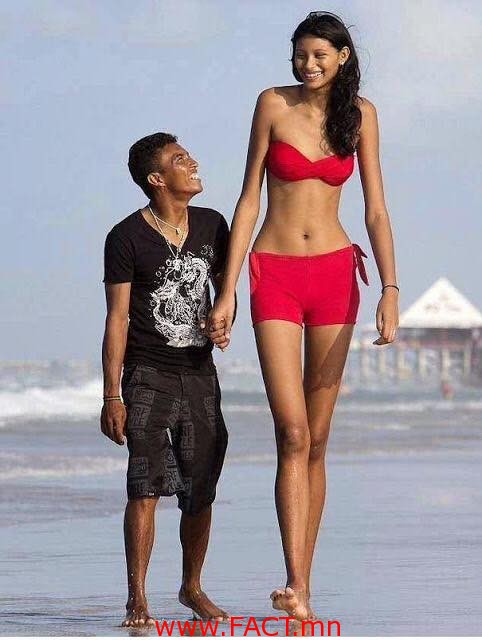 21077748_279562152451394_7827609695600675996_n