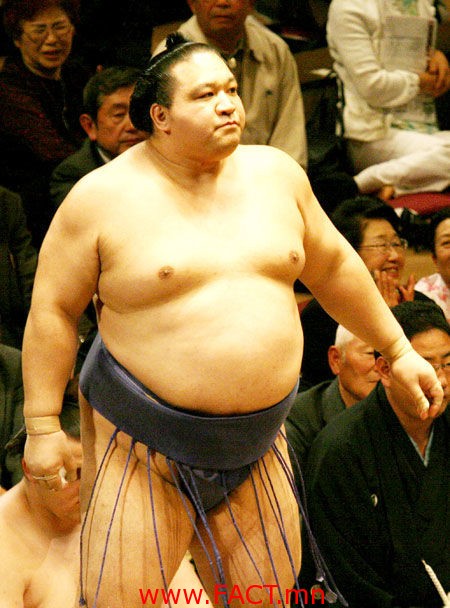 3icn6hemi80m57no1dlb8hckhn_b