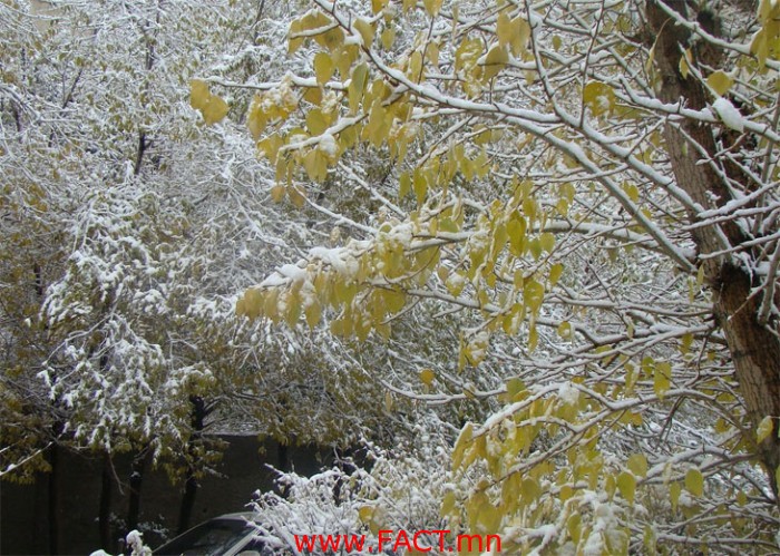 1repg9okhm65489cko0nmsmi5j