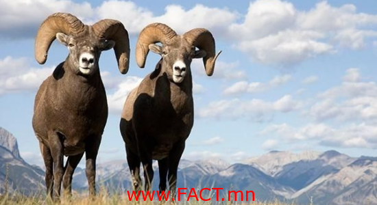 25359923_1652978714748070_1161488617_n-550x300