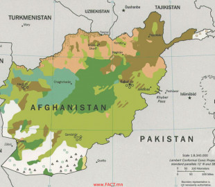afgan(3)