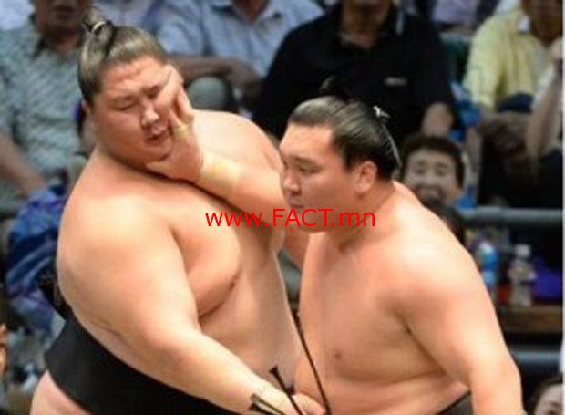 0bbad0d3a10adddef024fe687f62fb83